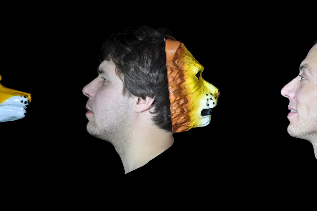Lesní zvěř